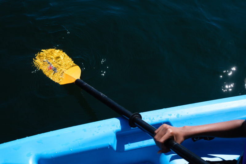 paddle-clean-water